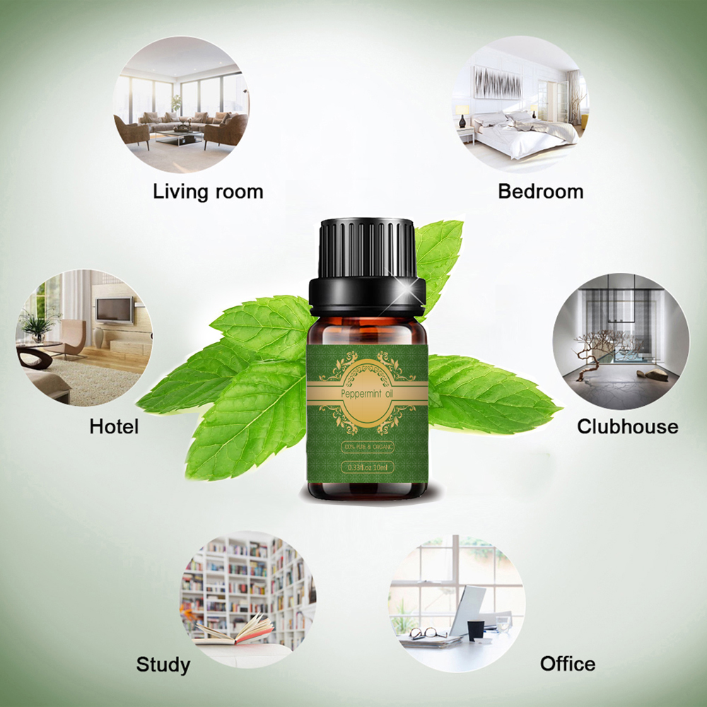 Alta qualidade Peppermint Essential Oil por atacado Preço em massa