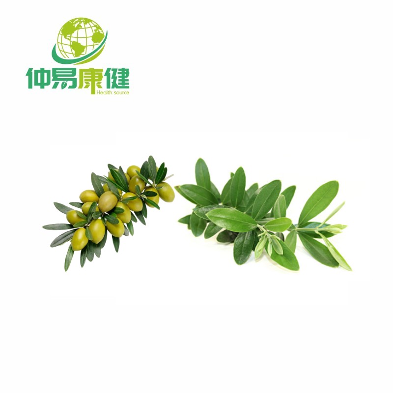 Natural Olive Polyphenols Powder