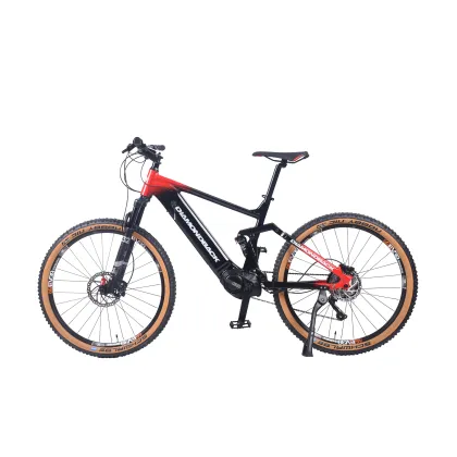 Factory Price Mid Hub Motor with Shimano Oil Brake and Torque Sensor for Mountain Cycling