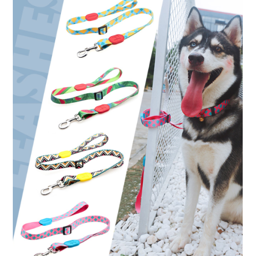 Full Color Polyester Dog Leash