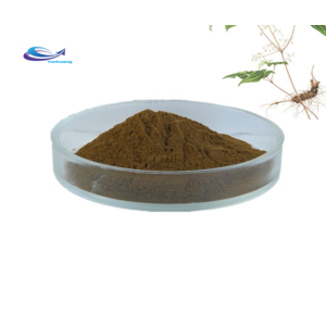 Horny Goat Weed Powder 60% 80% 98% Icariin