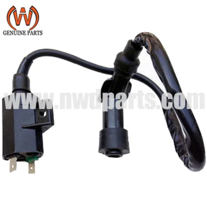 Kawasaki KLF 250 Bayou 2003-2011 ATV Motorcycle Ignition Coil Replacement