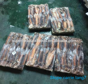 Good Quality Illex Argentinus