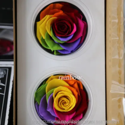 Wholesale 6-7cm Wide Red Fresh Preserved Rose Flowers