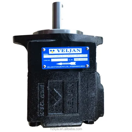 Double Oil Pump Viking Vane Pump VT6C Series
