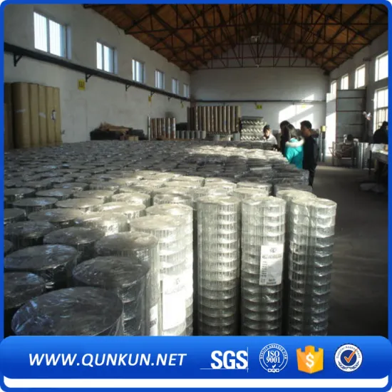 galvanized welded wire mesh price in roll
