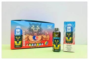 Good Price R&M Paradise 8000 Puffs Vape