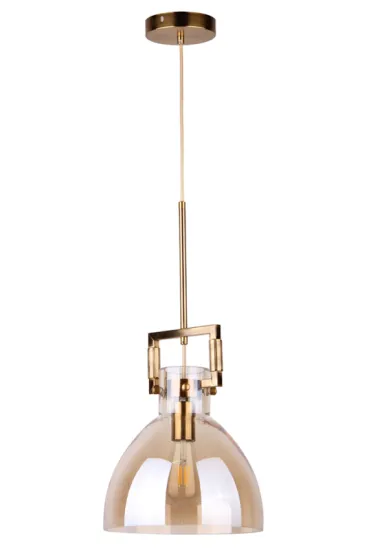 Loft indoor retro decorative light fixture pendant lamp