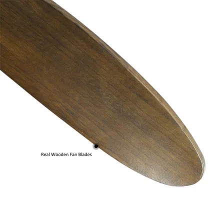 ESC Lighting 110v ceiling fan