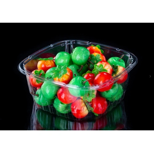 Vegetables Fruit Salad Plastic Box