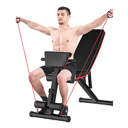 2024 New Dumbbell Benches, 11kg Fitness Chairs & Stools: Your Ultimate Weight Training Solution