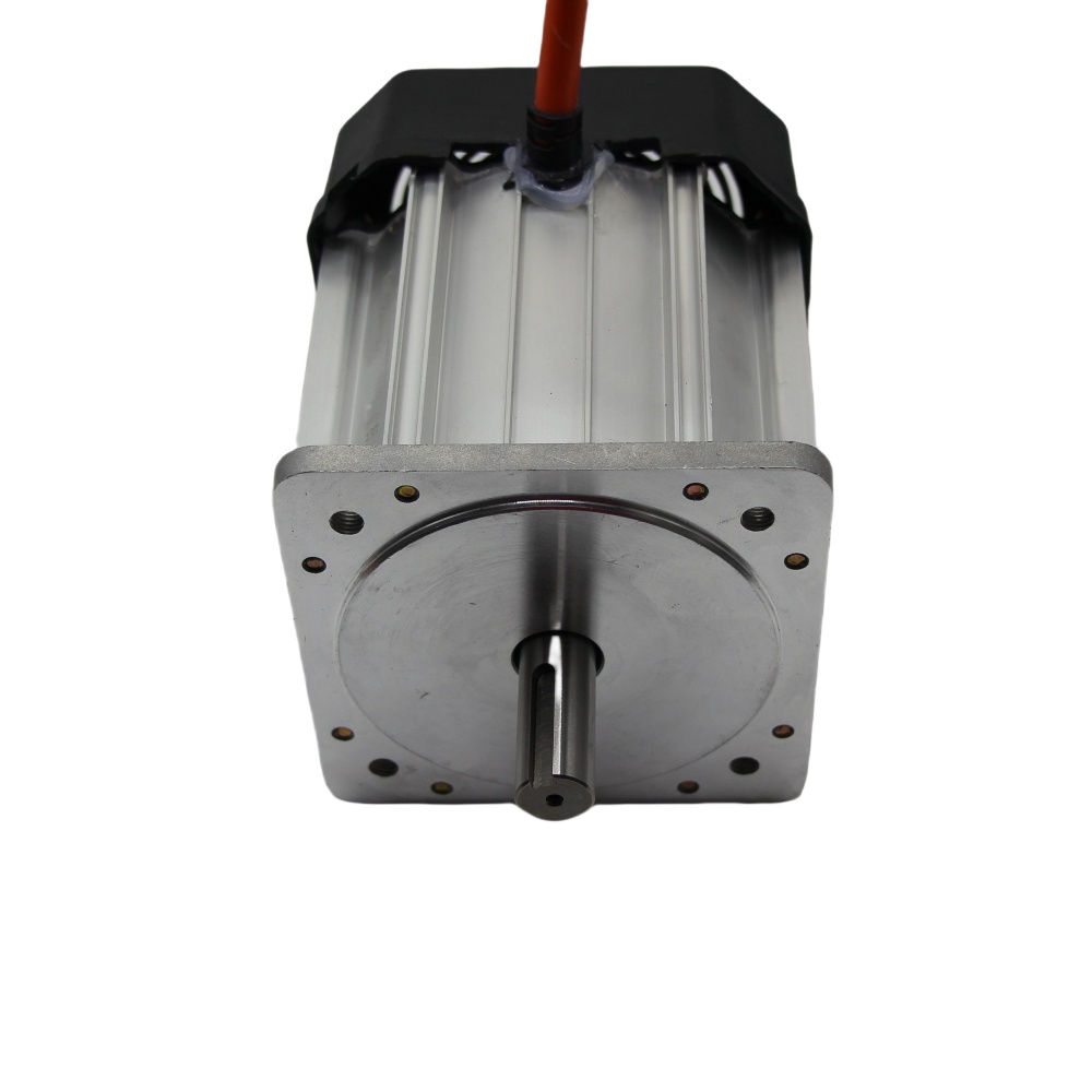 Powerful Motor for 3 Wheel Electric Vehicles