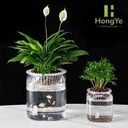 Large transparent square fish tank flowerpot