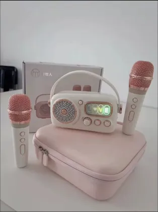 BT5.1 Wireless Home Audio Set with KTV Speaker for Living Room