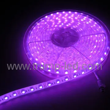 Outdoor Waterproof Flexible 5050 IP67 DC 12/24V led Stripes