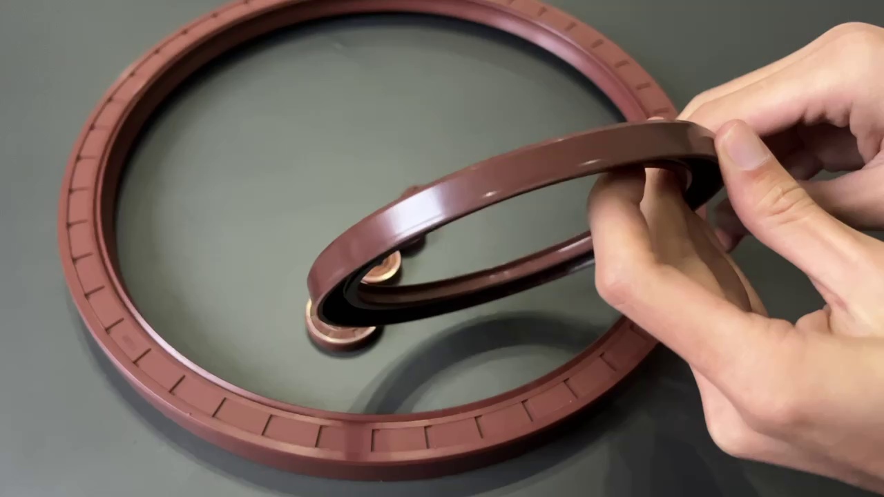 Fluorogar skeleton oil seal