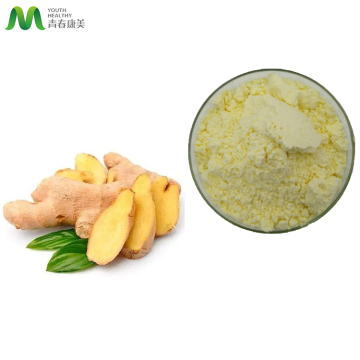 Ginger Root Extract Powder with Kosher Halal Certificates