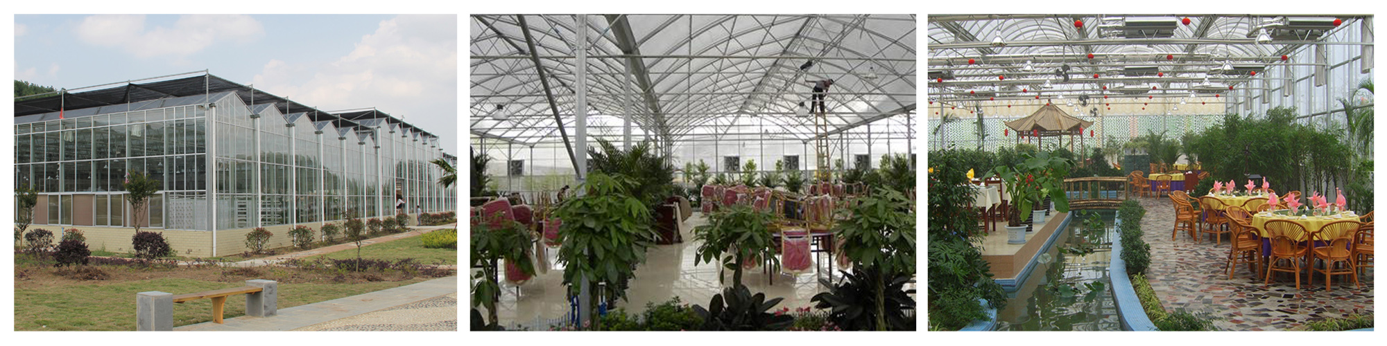 kitchen room greenhouse