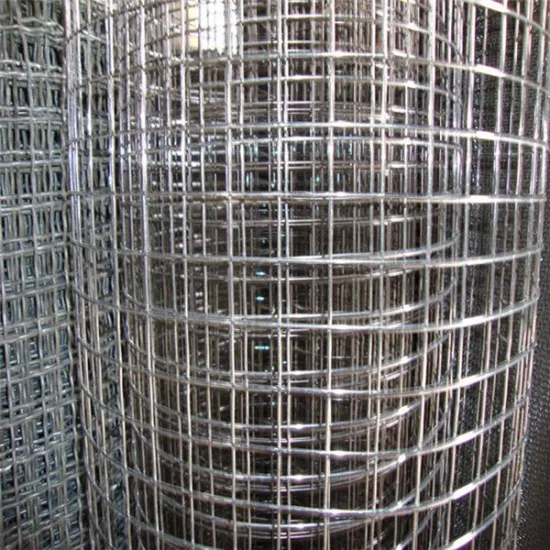 electic galvanized welded wire mesh