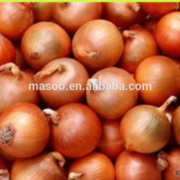 Wholesale Chinese Fresh onions in bulk, fresh vegetables, good quality