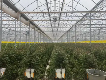 Film Greenhouse Aluminum Lock Channel