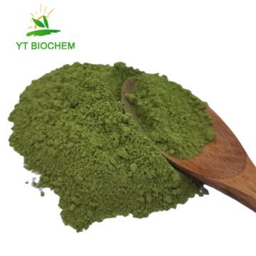 Top quality certified green tea powder matcha