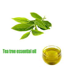 100% чистого эфирного масла чайного дерева природного дерева