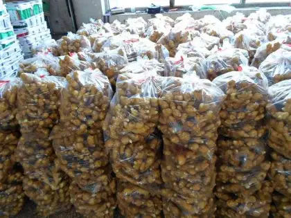 Best Selling Fresh Ginger Export to South Asia