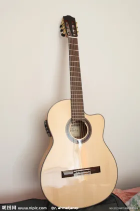 Popular Ovation guitar
