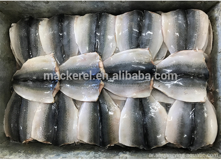 Frozen Fish Pacific Mackerel Flap مع معيار الاتحاد الأوروبي