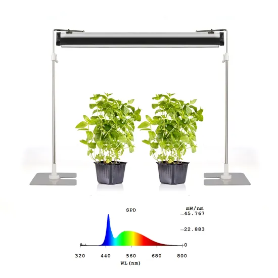 Indoor Herb Garden Starter Kit: Seedling & Succulents with Grow Light