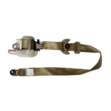 Toyota RAV4 Seat Belt