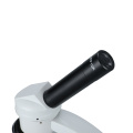 Microscópio biológico de WF10x com inclinação monocular