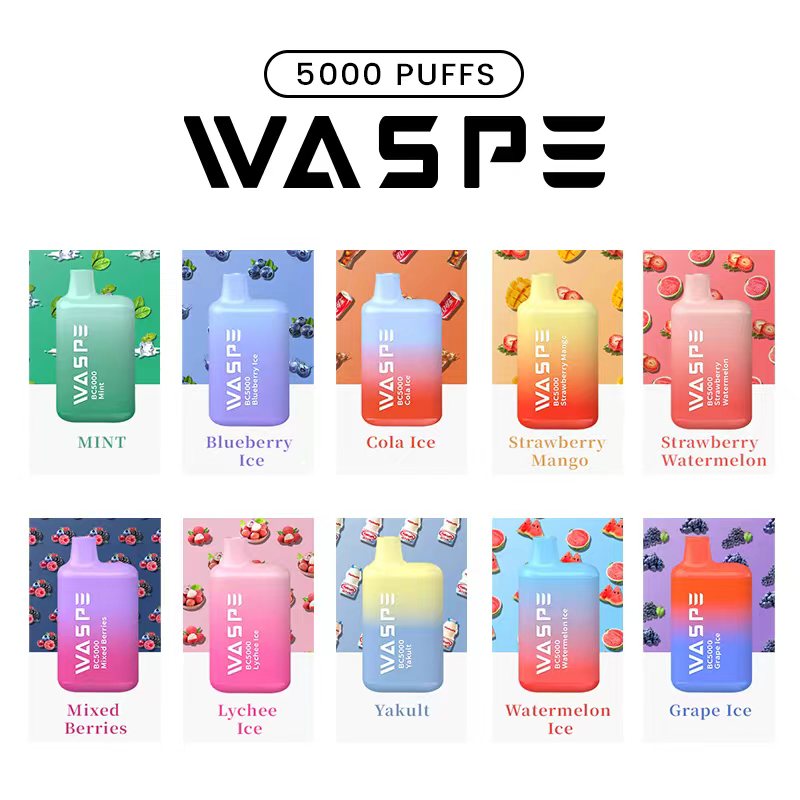 WASPE 5000 puffs vape uk bộ dụng cụ dùng một lần có thể sạc lại