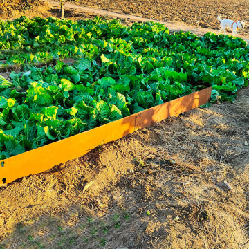 Bordeau de jardin en acier inoxydable complet