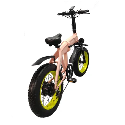 Dual motor snow electric bike