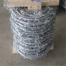 Galvanized Twisted Barbed Wire