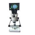 Puerto de televisión de microscopio digital HD con luces LED