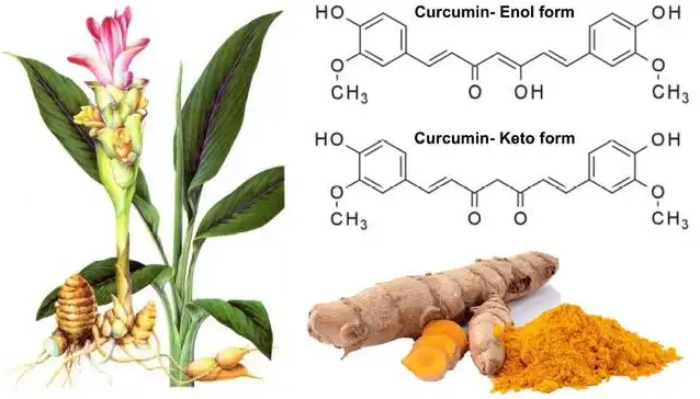 Curcumin Powder 6