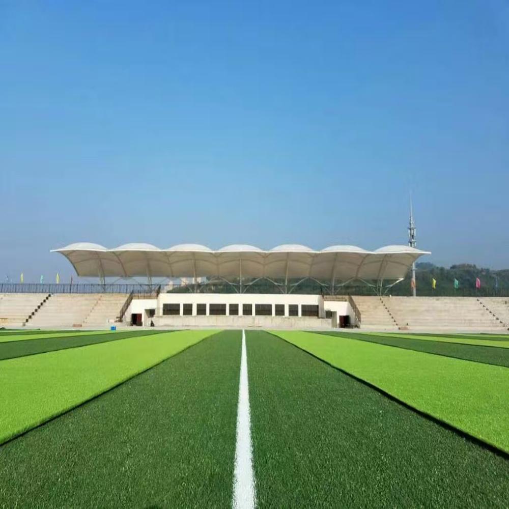 ພົມປູພື້ນຫຍ້າທຽມທຽມບານເຕະ