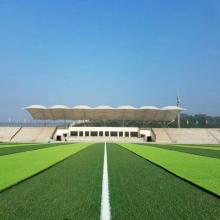 ພົມປູພື້ນຫຍ້າທຽມທຽມບານເຕະ