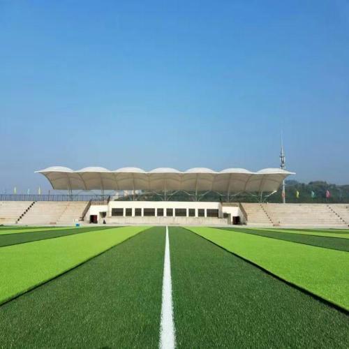 ພົມປູພື້ນຫຍ້າທຽມທຽມບານເຕະ