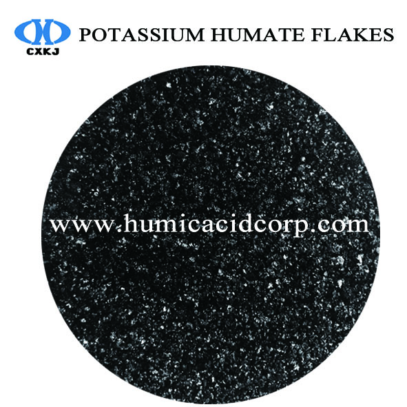 Potassium Humate Shiny Flakes