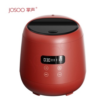 110V Bowl Multi Slow Rice Cooker