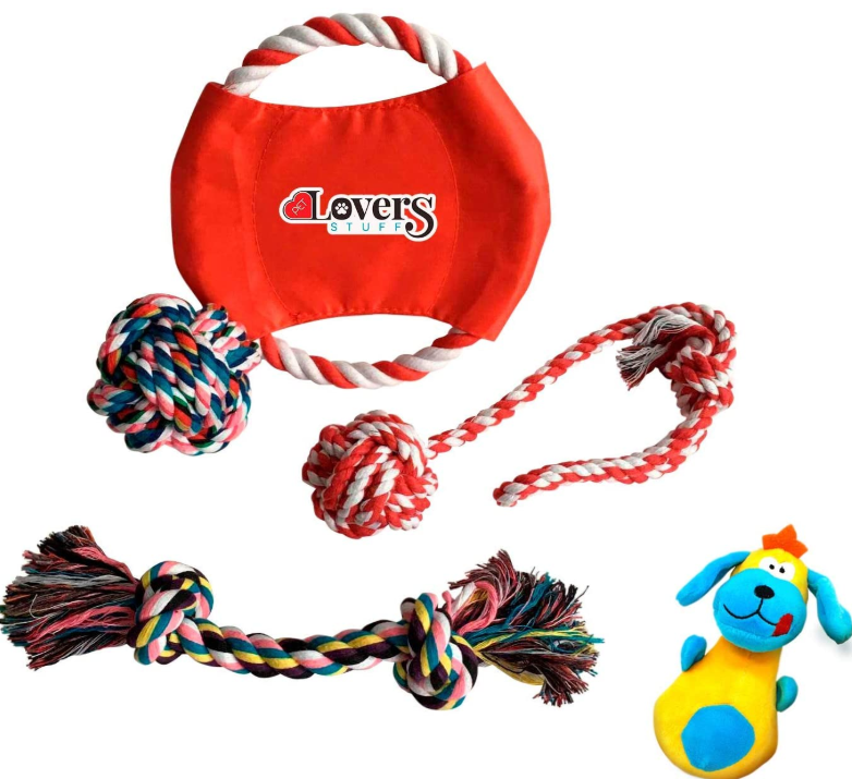 Dog Bandana Plus Set of 5 Dog Toys