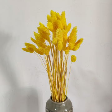 Yunnan Wholesale Colorful Immortal Gem Grass for Flower Arrangements & Bouquets