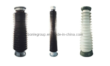 Electric Power Porcelain Cannula Series
