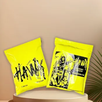 Custom Logo Printed Eco-Friendly Recycled Courier Bags for Shipping