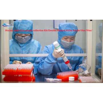 Kit de collecte de virus du tube à essai nucléique