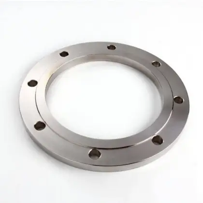 SS304 steel Plate Flange